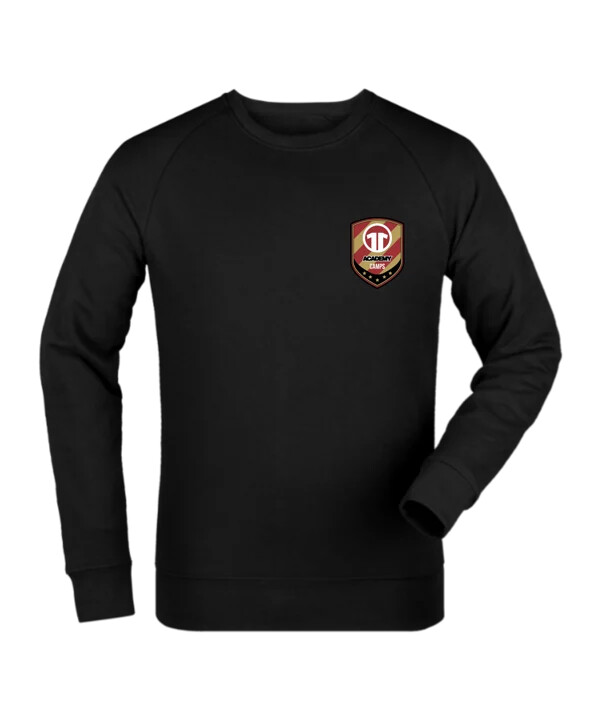 mikina 11ts academy brustlogo černá