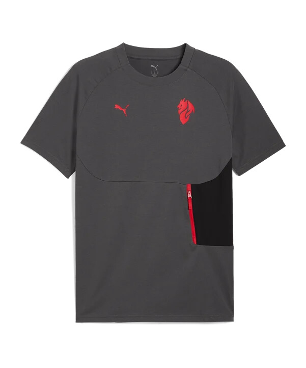 tričko puma ac milan pumatech pocket šedé f15