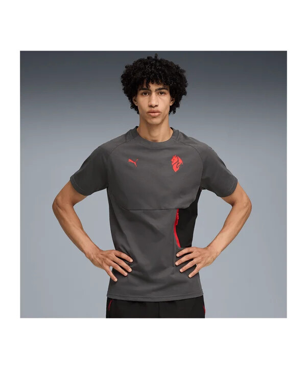 tričko puma ac milan pumatech pocket šedé f15