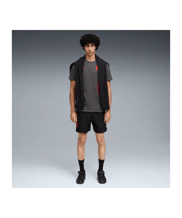 tričko puma ac milan pumatech pocket šedé f15