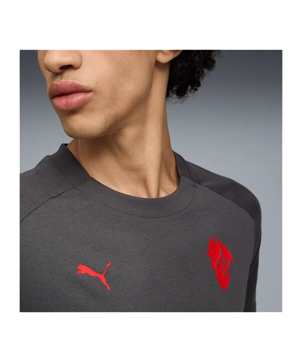 tričko puma ac milan pumatech pocket šedé f15