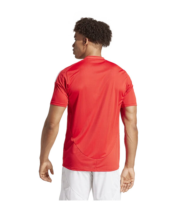 domácí dres adidas benfica lisabon 20242025 červený