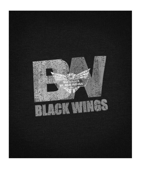 klasická mikina black wings černá