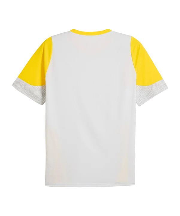 puma tréninkový dres borussia dortmund šedý f18