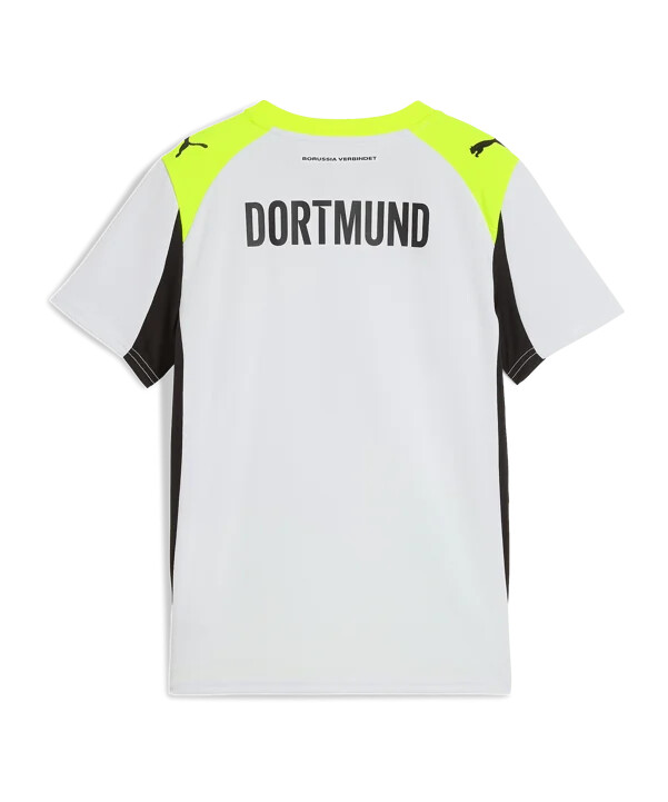 puma borussia dortmund replika dětský venkovní dres šedý f02