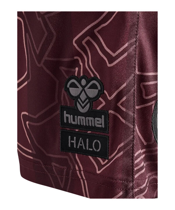 kraťasy hummel denmark x halo 2024 modré f8186