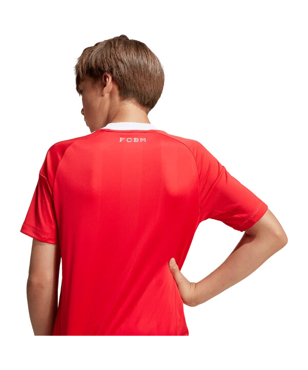 dětský brankářský dres adidas fc bayern mnichov 3. díl 20252026 červený