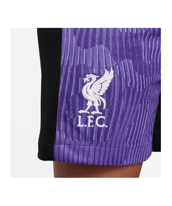 dětské kraťasy nike fc liverpool 3rd 20232024 f567