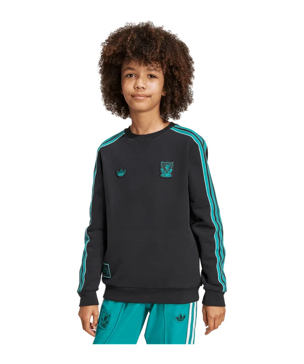 dětská mikina adidas fc liverpool icon černá