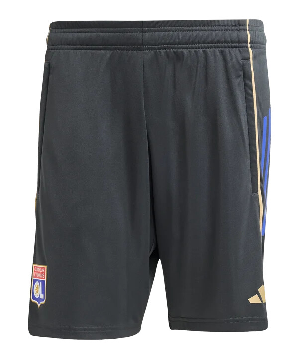 tréninkové kraťasy adidas olympique lyon šedé