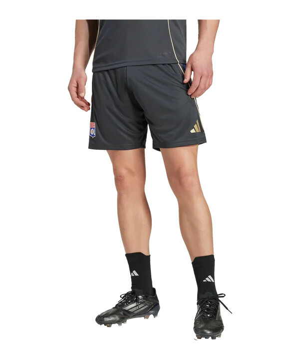 tréninkové kraťasy adidas olympique lyon šedé