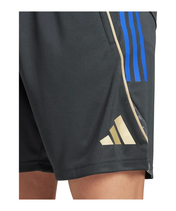 tréninkové kraťasy adidas olympique lyon šedé