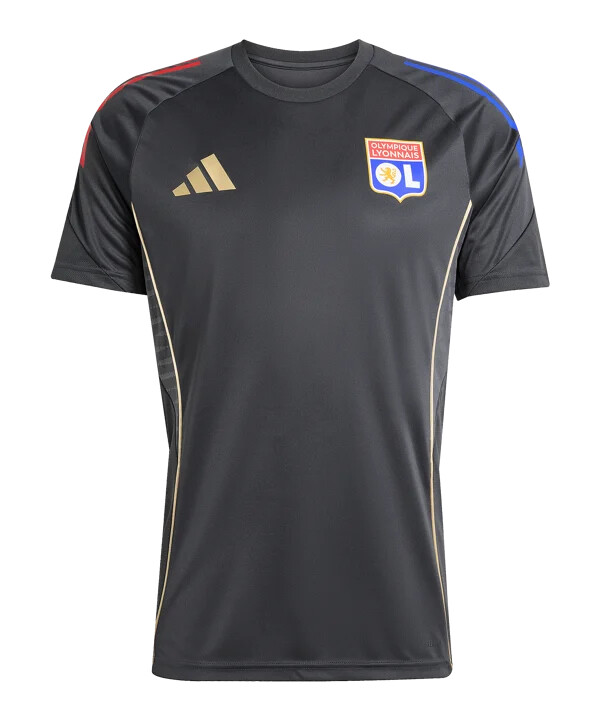tréninkové tričko adidas olympique lyon šedé