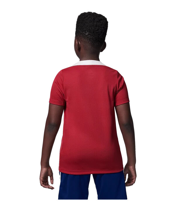 dětský tréninkový dres nike paris saint-germain červený f660