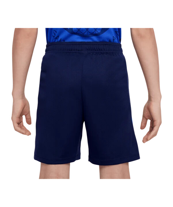 dětské kraťasy nike paris saint-germain strike modré f410
