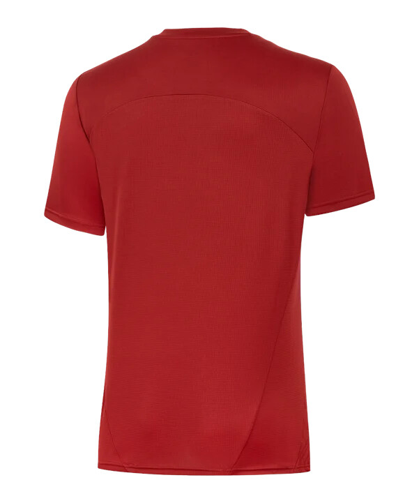 puma galatasaray istanbul tréninkové tričko červené f01