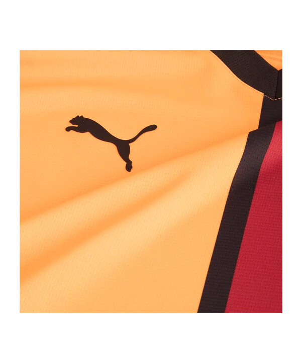 domácí dres puma galatasaray istanbul 20242025 červený f01