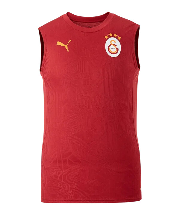 puma galatasaray istanbul training sl t-shirt red f202