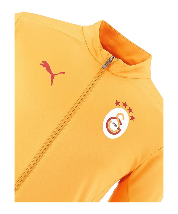 puma galatasaray istanbul tréninková bunda žlutá f202