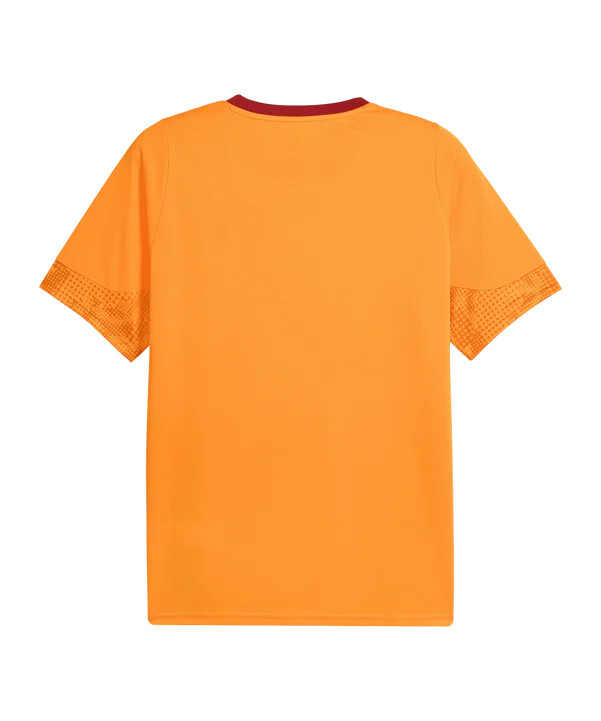 tréninkové tričko puma galatasaray istanbul oranžové f006
