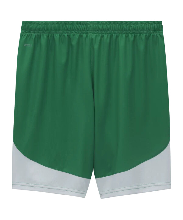 puma sk rapid short home 20242025 green f01