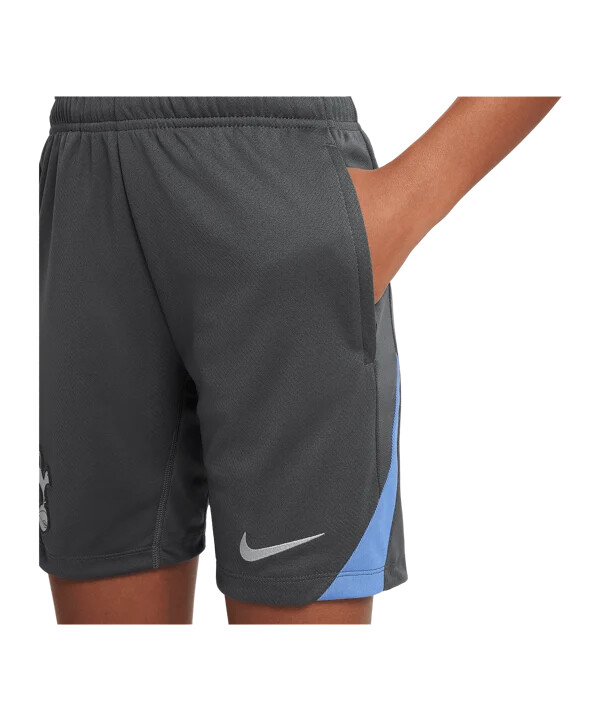 dětské tréninkové kraťasy nike tottenham hotspur šedé f021