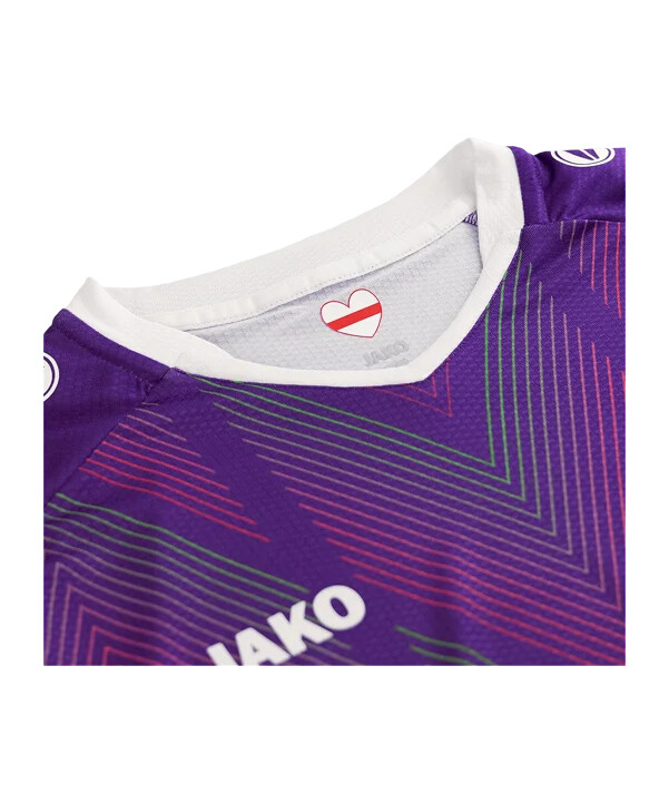 brankářský dres jako vfb stuttgart venkovní 20242025 fialový f663