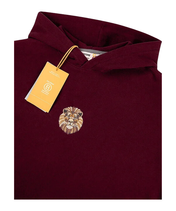 mikina s kapucí gsstore x reflect studio lion rot