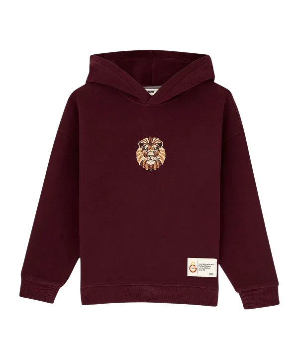 dětská mikina s kapucí gsstore x reflect studio lion červená
