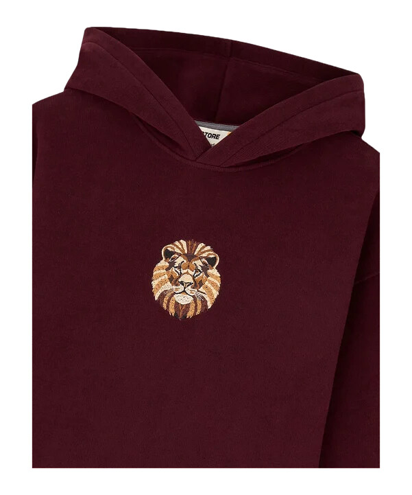 dětská mikina s kapucí gsstore x reflect studio lion červená