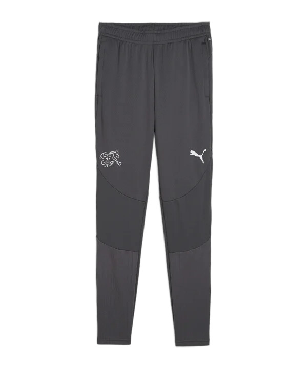 puma schweiz trainingshose grau f11